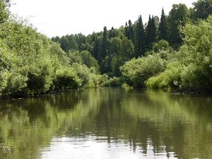 Красное пятно на поверхности донецкой реки взволновало экологов 