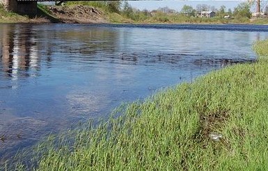 Киевский остров за полмиллиарда гривен вернули в собственность государства