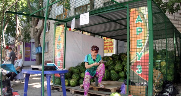 Каким будет урожай херсонских арбузов в этом году