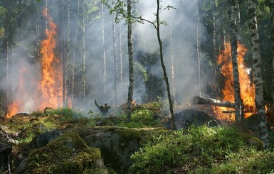 Украинцев предупредили о чрезвычайной пожарной опасности из-за жары