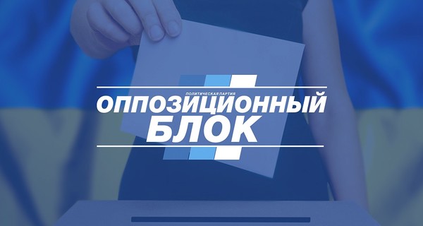 Пересчет голосов подтвердил победу Виктории Гриб на 105 округе