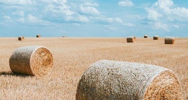 В Украину возвращается тепло