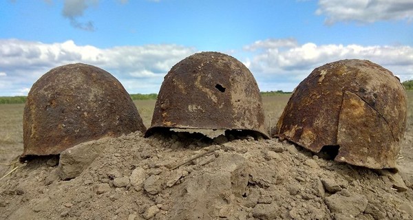 В Житомирской области нашли останки солдат, погибших в 1941 году