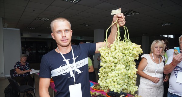 Самый большой в стране кишмиш вырастили на Днепропетровщине