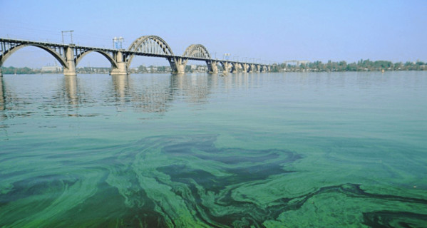 Уж осень на дворе, а Днепр все зеленеет