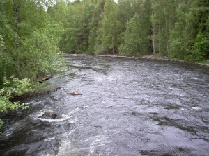 Пытаясь доказать свою любовь, девушка чуть не утонула в реке 