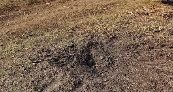 ОБСЕ: в Курахово от взрыва гранаты погибли 2 человека