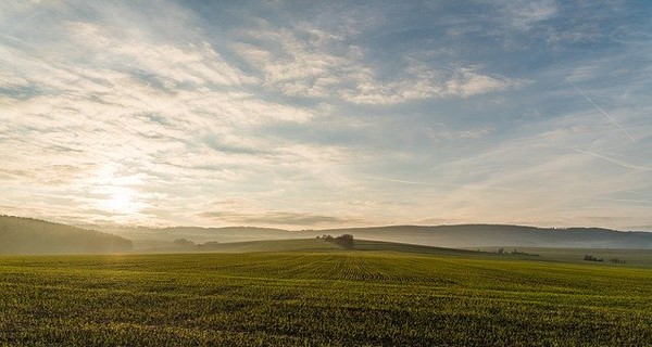 В Одесской области под землей нашли пакеты с расчлененным телом 