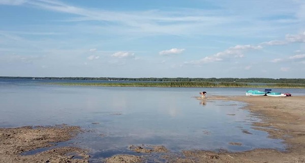 Прокуратура Волыни занялась обмелением озера Свитязь