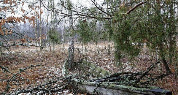 Синоптик рассказала, какой будет погода на Крещение