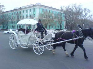 В Днепропетровске в кювет упала прогулочная карета 