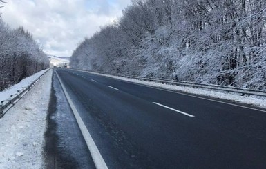 Зимняя непогода свалила десятки деревьев, многие украинцы остались без света