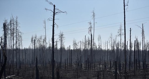 Вокруг пожарища в Чернобыле выкопали 260 километров минерализованных полос