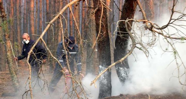 Пожар в Чернобыльской зоне продолжают тушить машинами и вертолетами 