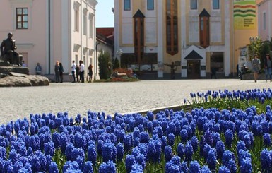 Житель Винницкой области нашел древнерусское копье X-XII века и колол им свиней 