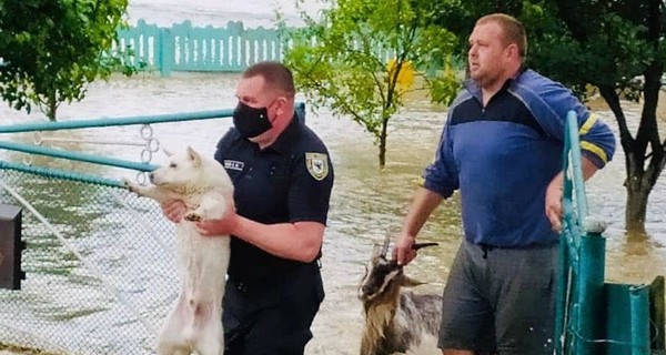 На Буковине и Прикарпатье затоплены 9 районов. Введены чрезвычайные меры безопасности