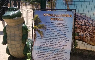 В Херсонской области разоблачили 