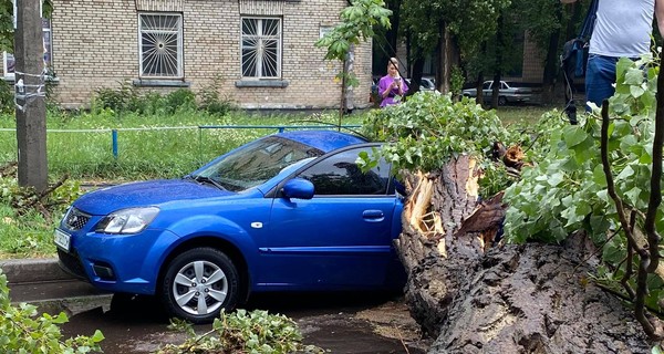 Упавшие деревья, раздавленные машины: по Киеву пронесся ураган