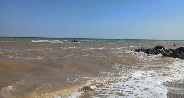 Азовское море начало цвести