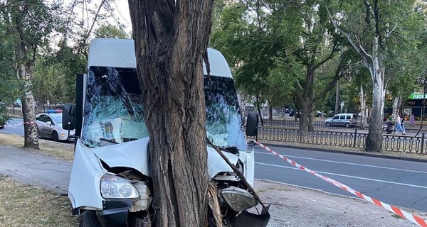 В Николаеве маршрутка протаранила дерево, госпитализировали девять пассажиров