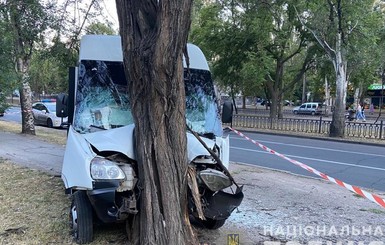 В Николаеве маршрутка протаранила дерево, госпитализировали девять пассажиров