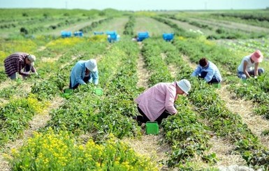 Финляндия закрыла въезд для украинских заробитчан