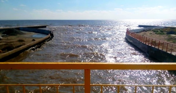 В Черном море вода покраснела и светится ночью 