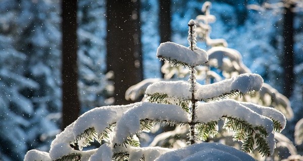 На запад Украины движется непогода: могут произойти перебои со светом и начаться проблемы на дорогах