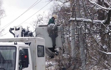 В Киевской области бобры на день оставили жителей села без света