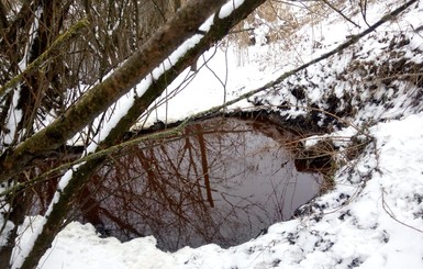 На Ивано-Франковщине скотобойня сбрасывала отходы в реку