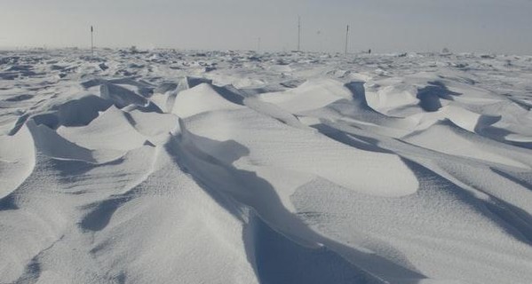 На Житомирщине по дороге домой в поле насмерть замерз юноша