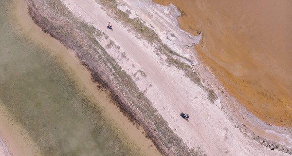 В лимане в Одесской области вода стала розовой