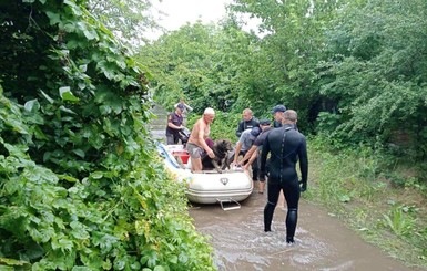 Под Мариуполем прорвало плотину и затопило два села