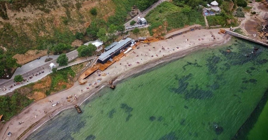 Отдых на море в Украине: с токсичными водорослями, змеями и морскими блохами