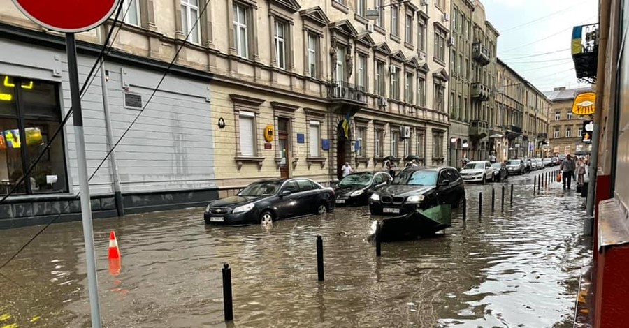 Львов внезапно накрыла сильная буря: деревья повырывало с корнями, остановлен электротранспорт 