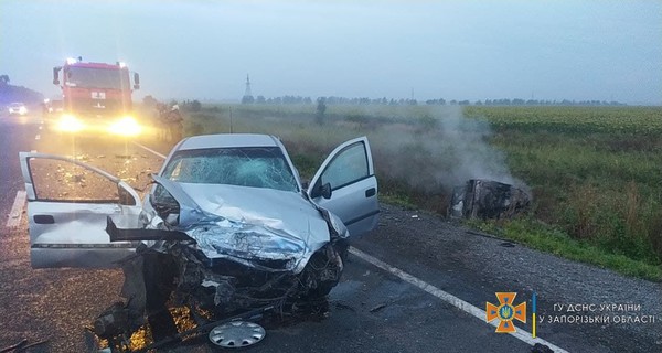 Под Запорожьем столкнулись два автомобиля, погибли пятеро, среди них - трое маленьких детей