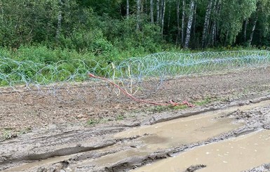 В Польше неизвестные сломали забор на границе с Беларусью 