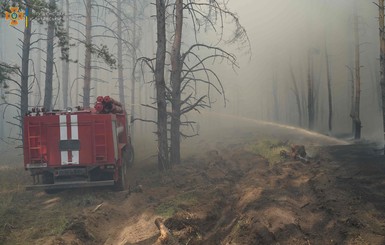 В Луганской области вспыхнули лесные пожары