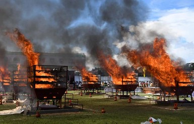 В Індії спалили 2479 рогів носорогів