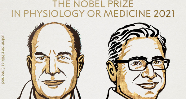 Нобелевскую премию-2021 по медицине присудили за открытие рецепторов температуры и осязания