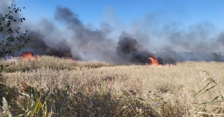 У Балаклії локалізували пожежу на Центральній вулиці, яка погрожувала житловим будинкам