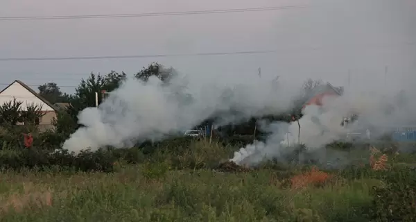 Спалюєш листя? «Полегшуєш» життя коронавірусу