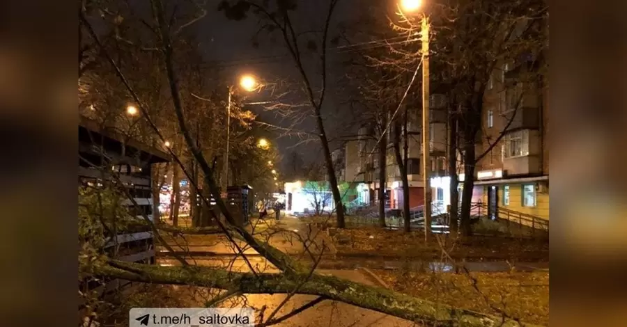 Харковом «пройшовся» штормовий вітер, залишивши після себе повалені дерева і розбиті машини