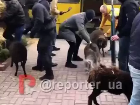 Под стены КГГА привезли сено и овец. Символизируют пассажиров в столичных маршрутках