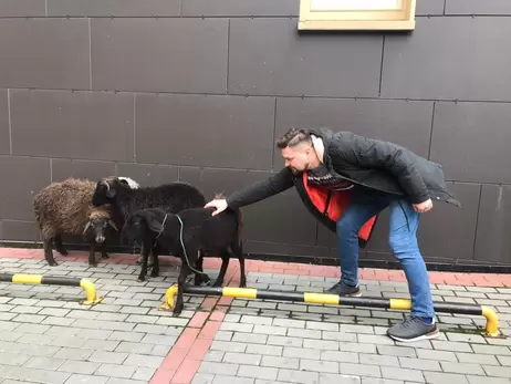 Барани з акції протесту у Києві потрапили до зоопарку