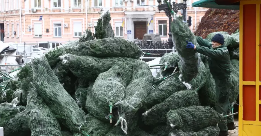 На Софійську площу у Києві звезли десятки дерев для монтажу головної новорічної ялинки