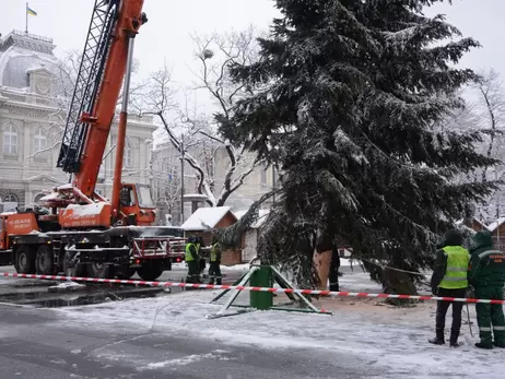 Головною ялинкою Львова стало дерево, 35 років тому привезене із Карпат