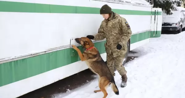 Прикордонники про нововведення: Нам дозволили проводити огляд без поліції та митників