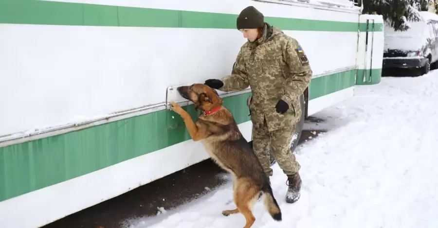 Пограничники о нововведениях: Нам разрешили проводить досмотр без полиции и таможенников