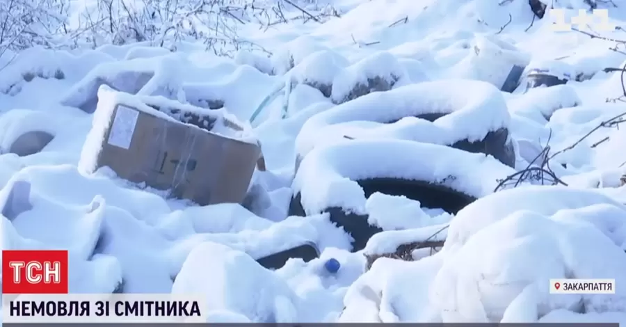 На Закарпатье женщина, пытаясь скрыть роды дочери, сказала полиции, что нашла новорожденную на мусорке 